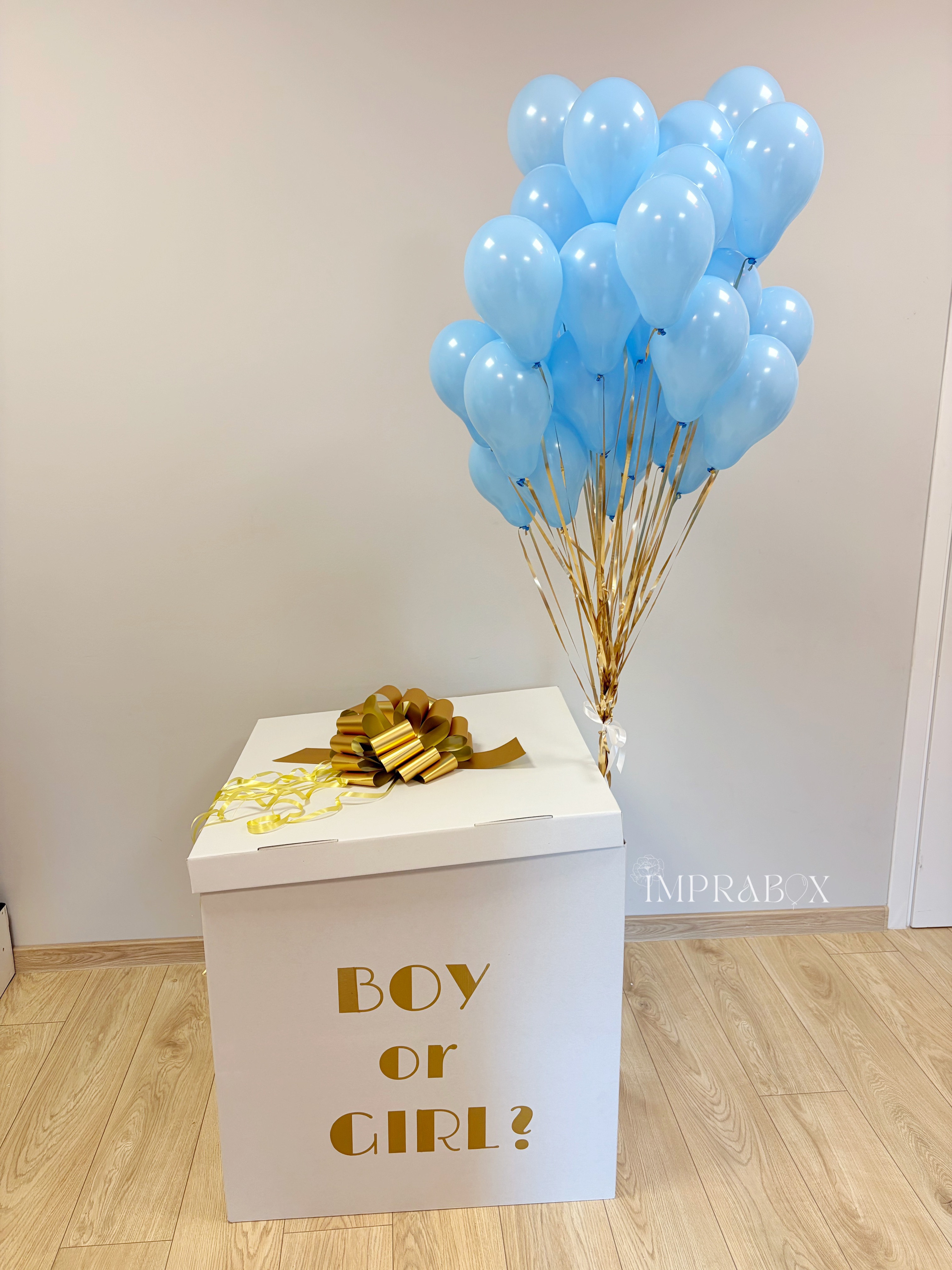 Gender_Party_Box