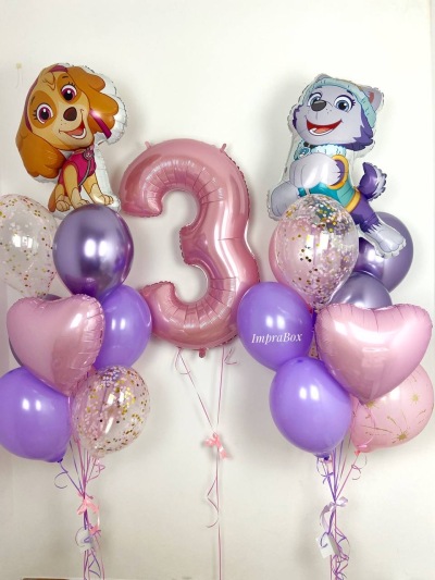 Duży zestaw Psi Patrol Sky & Everest