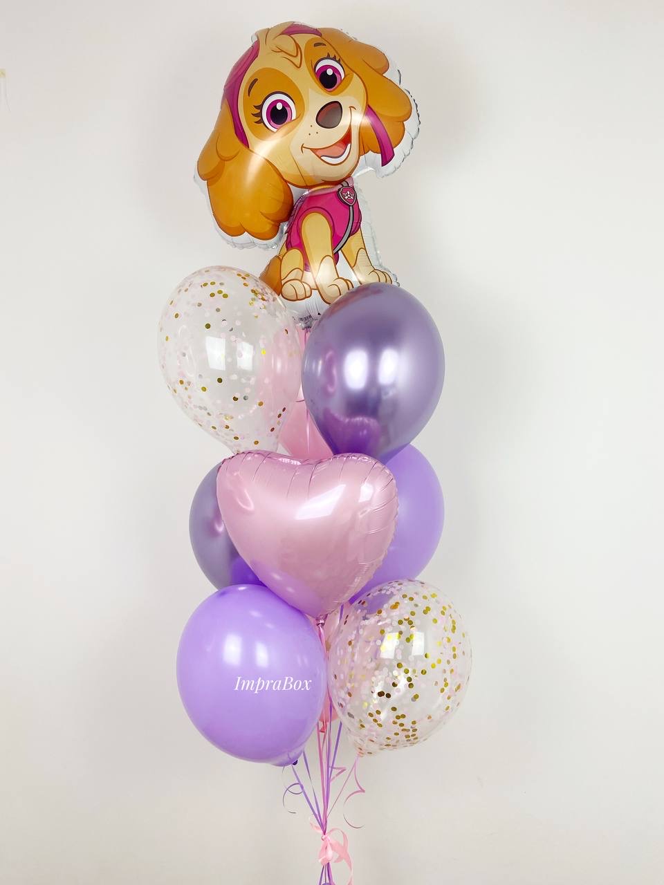 Zestaw_SKY_Psi_Patrol